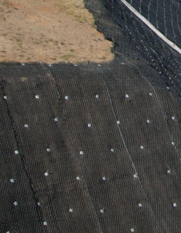 Highway with greenery