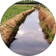 Steep Embankment