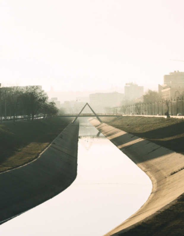 Highway with greenery