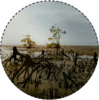Loose Soil