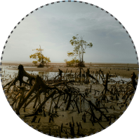 Loose Soil